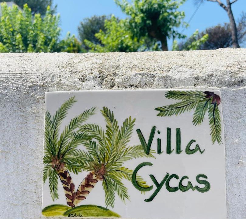 Photo of Others in Ischia Porto