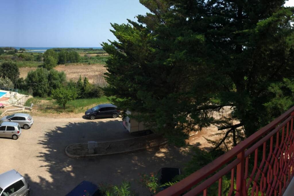 Photo of Others in Campomarino