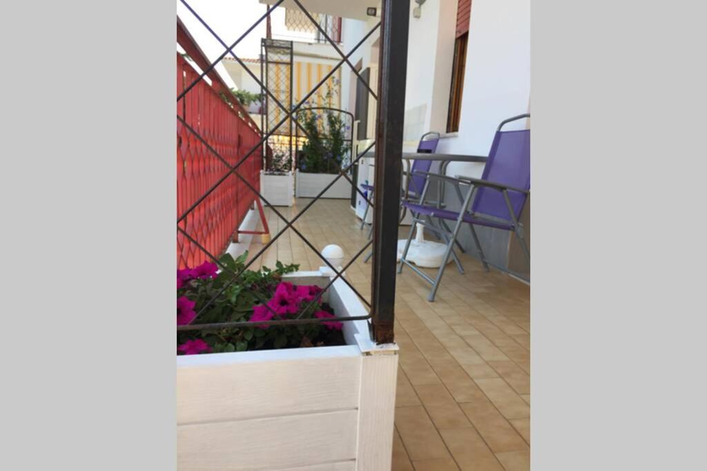 Photo of Patio Balcony in Campomarino