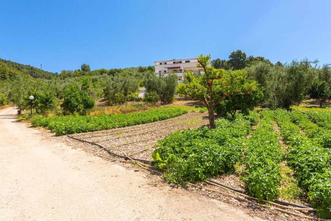 Photo of Others in Peschici