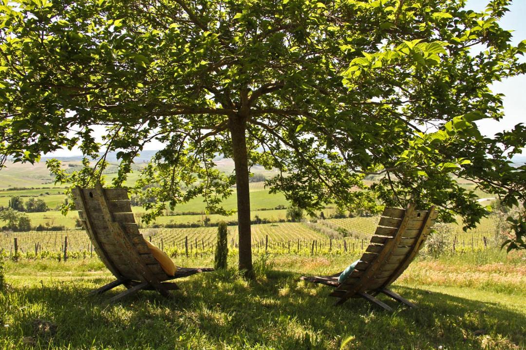 Photo of Others in Castellina in Chianti