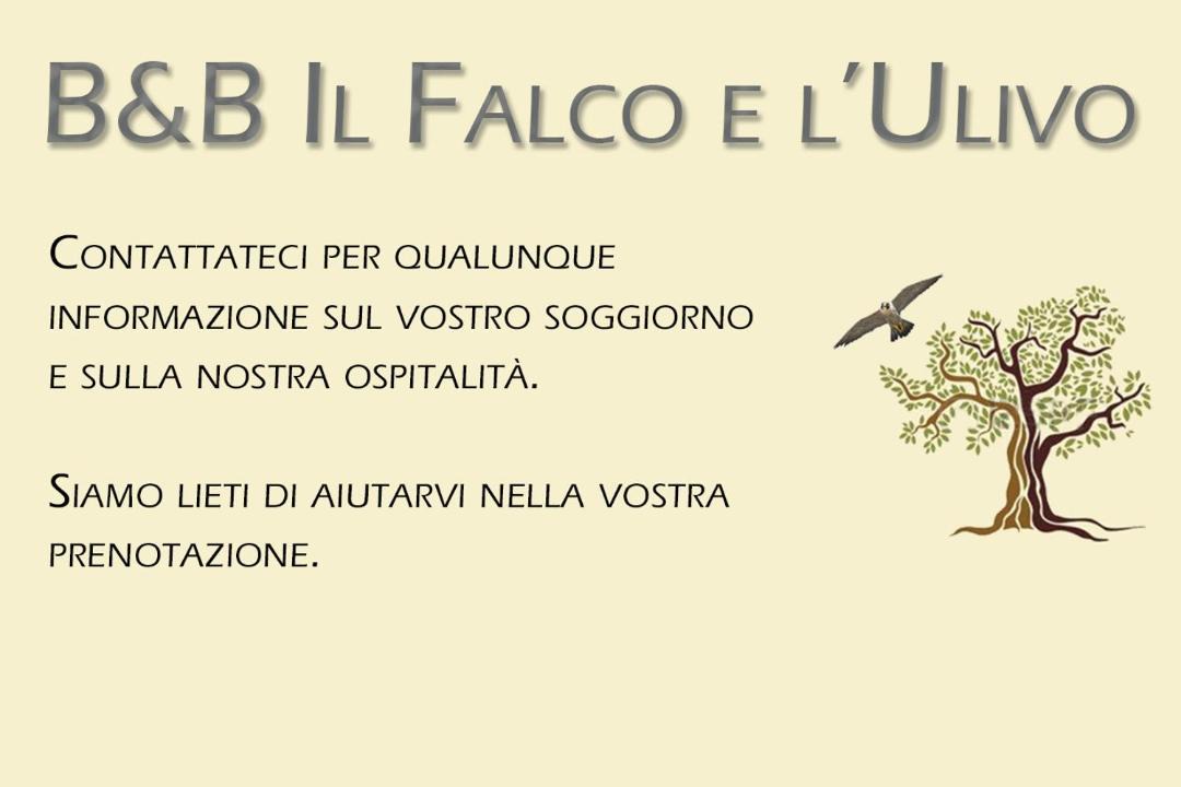 Photo of Others in Rocca Massima