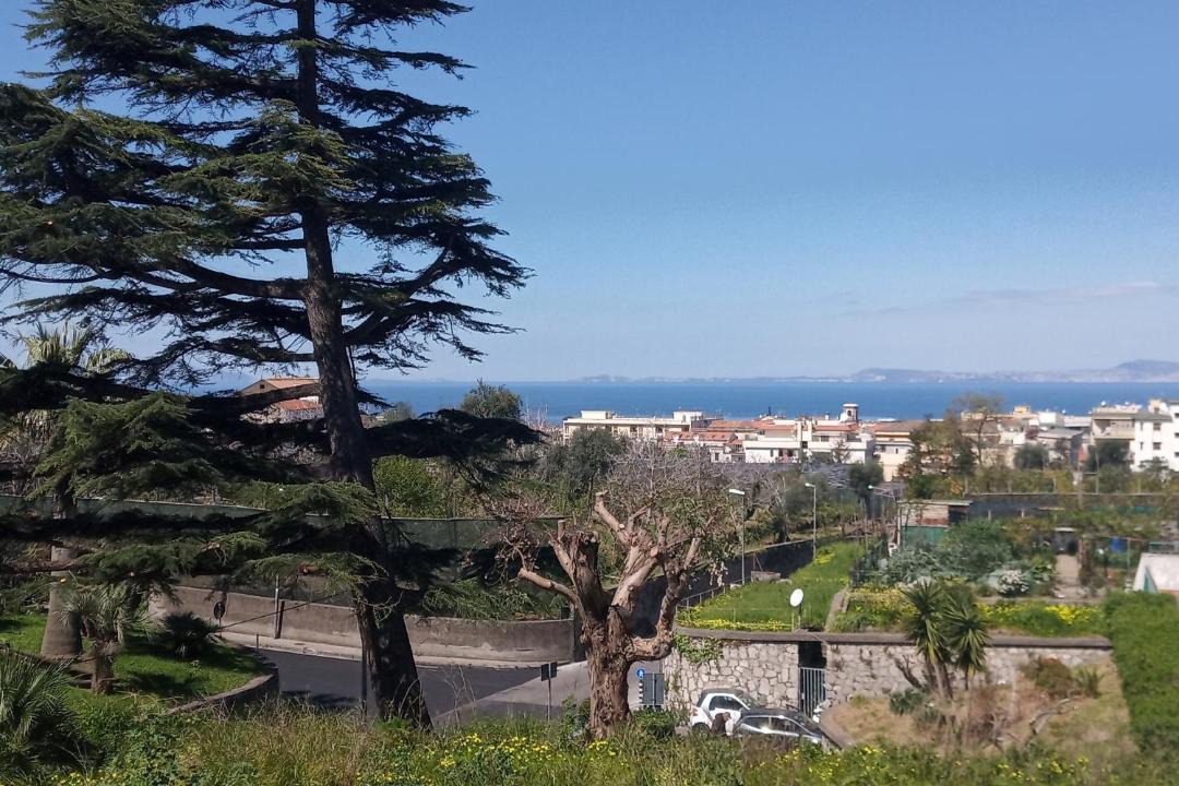 Photo of Others in Piano di Sorrento