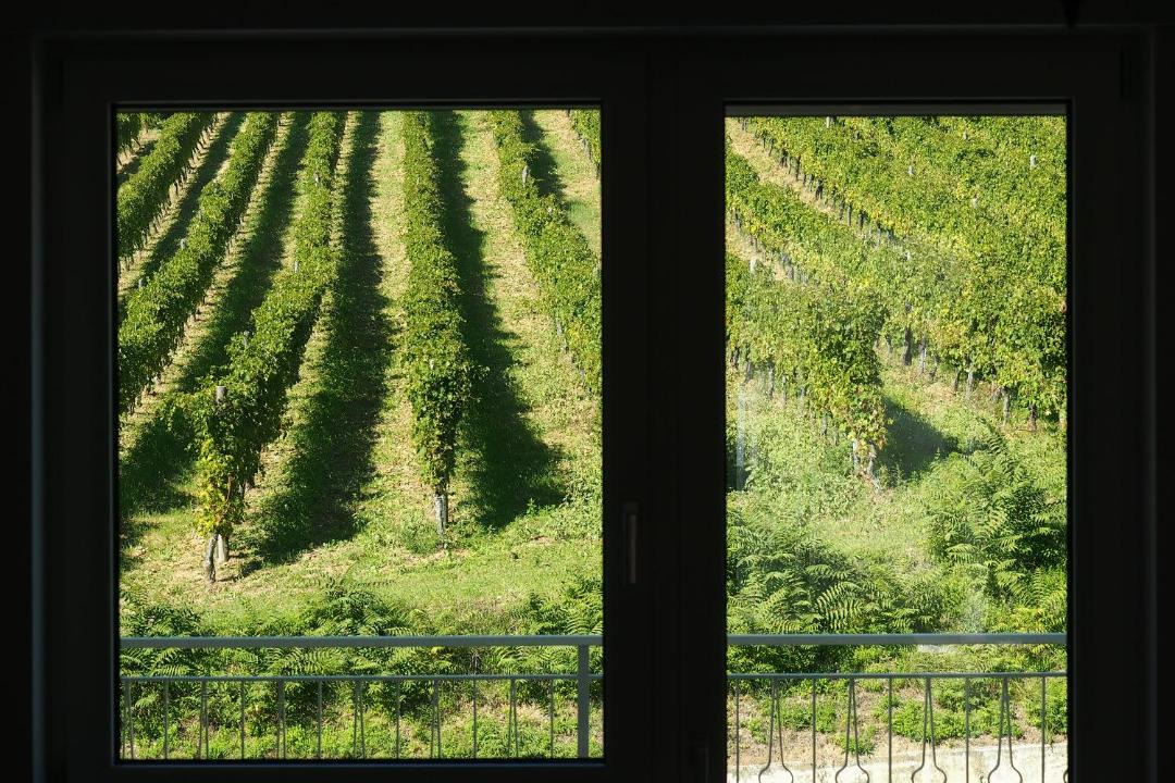 Photo of Patio Balcony in Santa Paolina