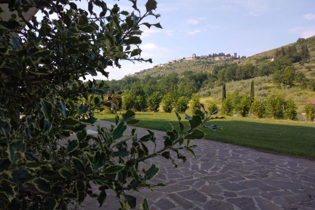 Photo of Others in Monte San Giovanni Campano