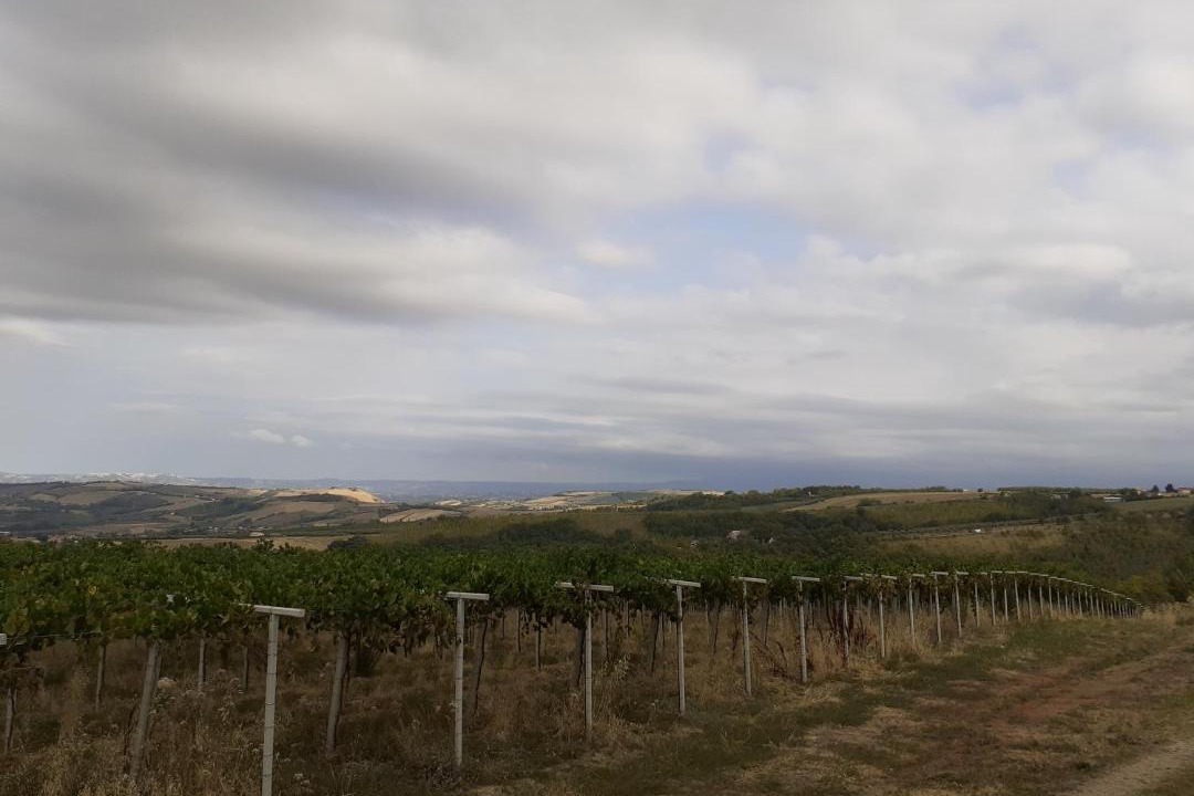 Photo of Outdoor in Civitella Casanova