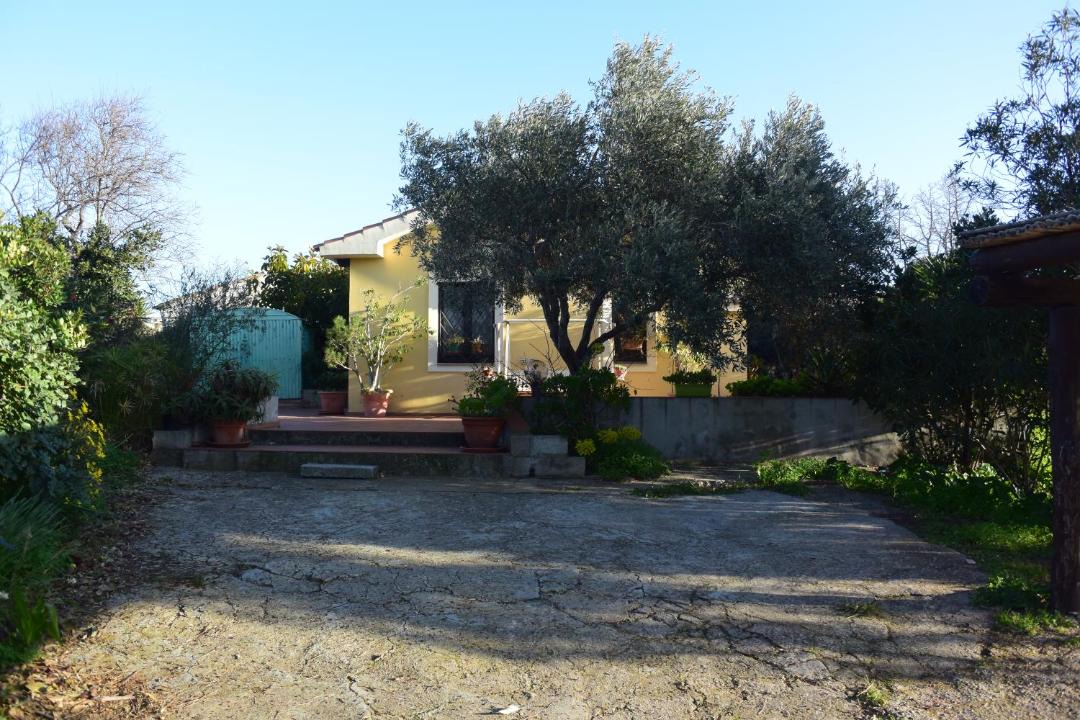 Photo of Buildings in Pittulongu