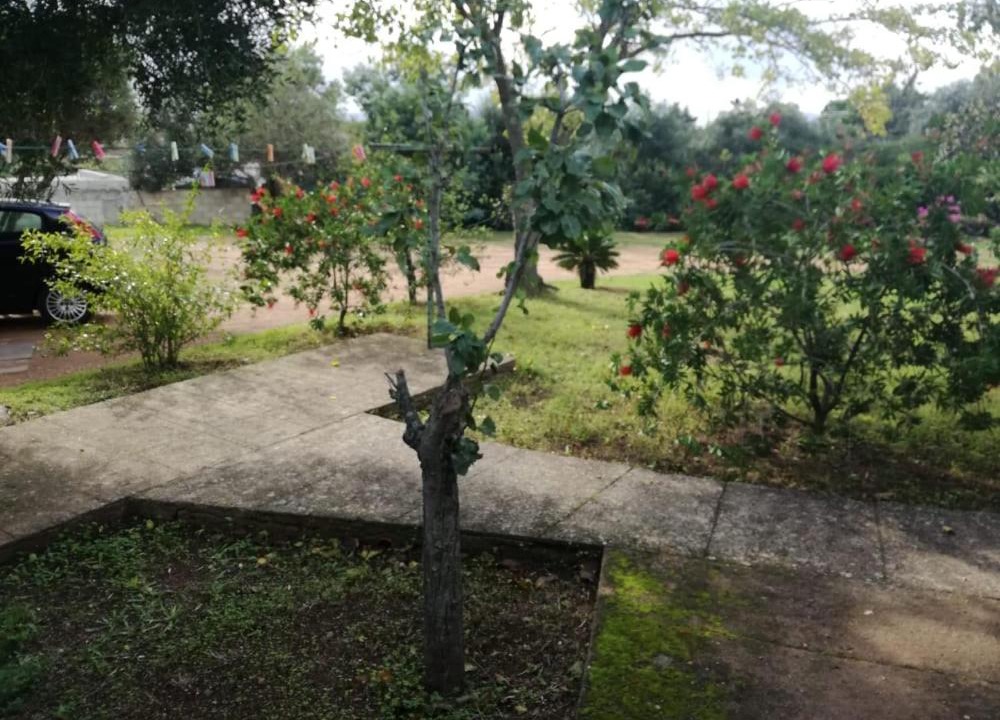 Photo of Outdoor in Pittulongu