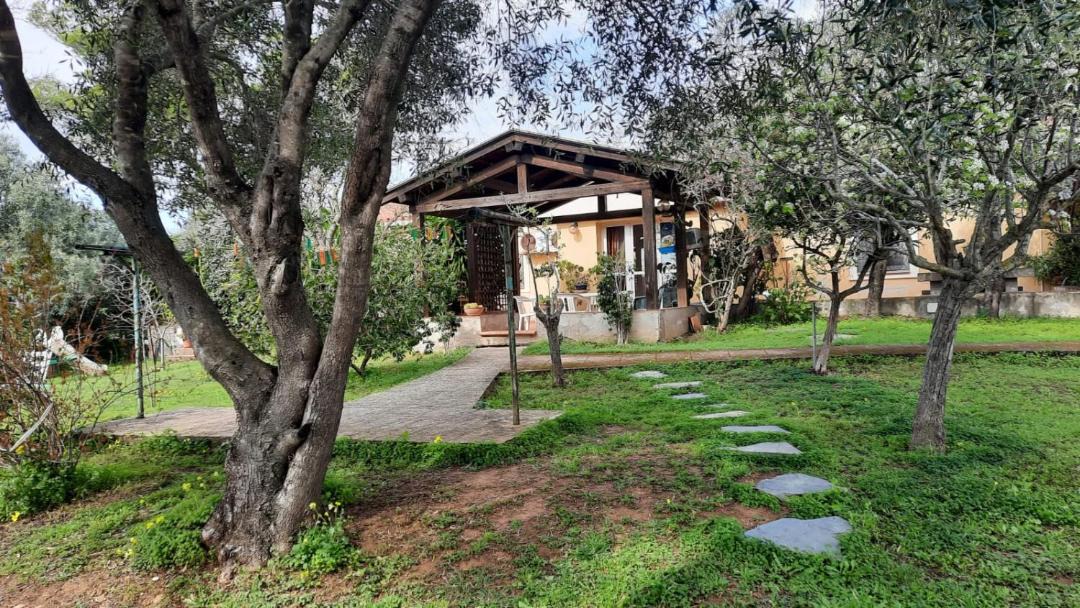 Photo of Buildings in Pittulongu