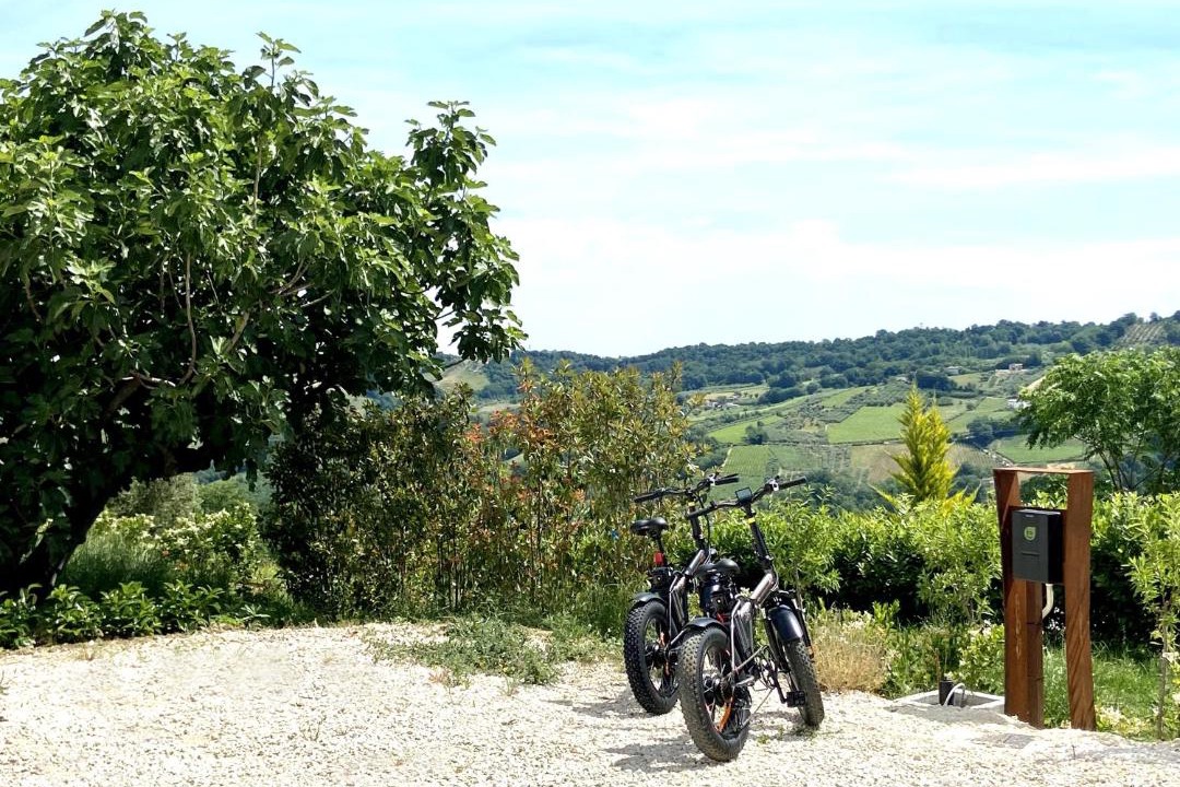 Photo of Others in San Martino Sulla Marrucina