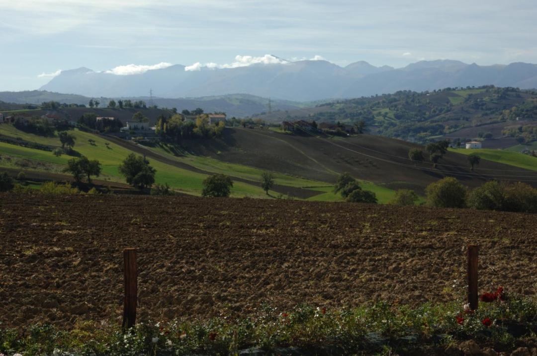 Photo of Outdoor in Loro Piceno