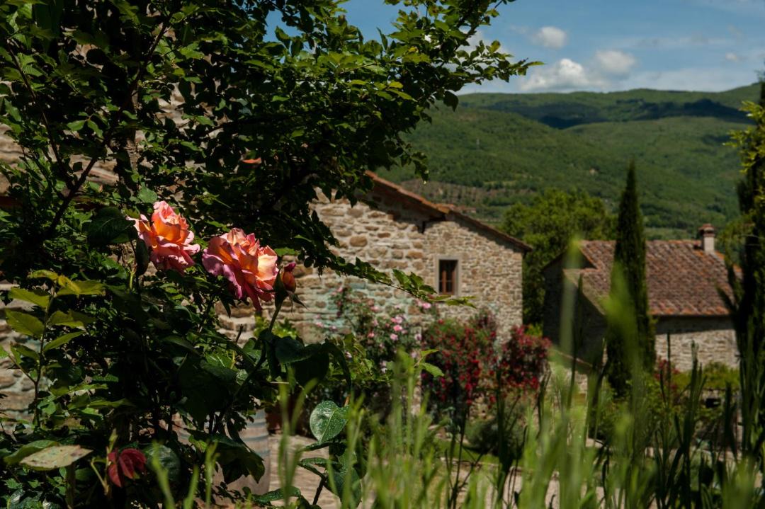 Photo of Others in Capolona