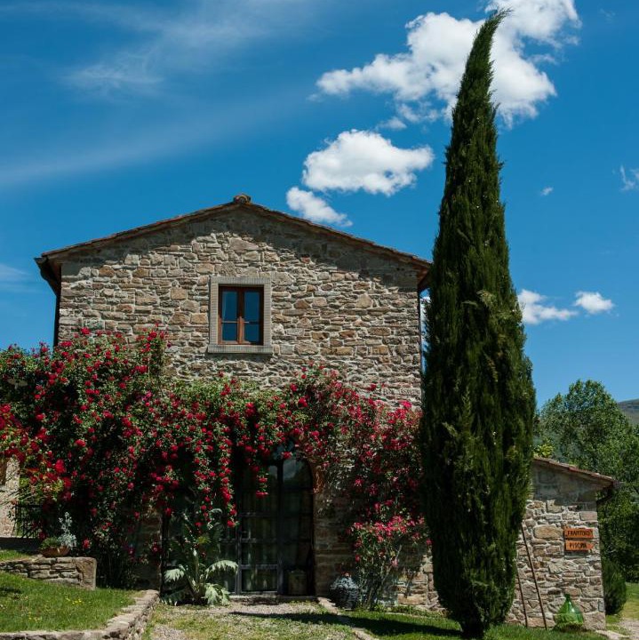 Photo of Others in Capolona