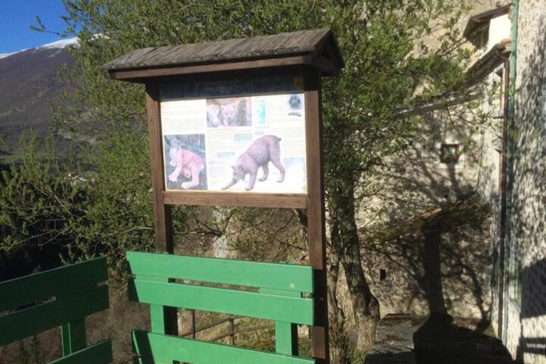 Photo of Others in Civitella Alfedena