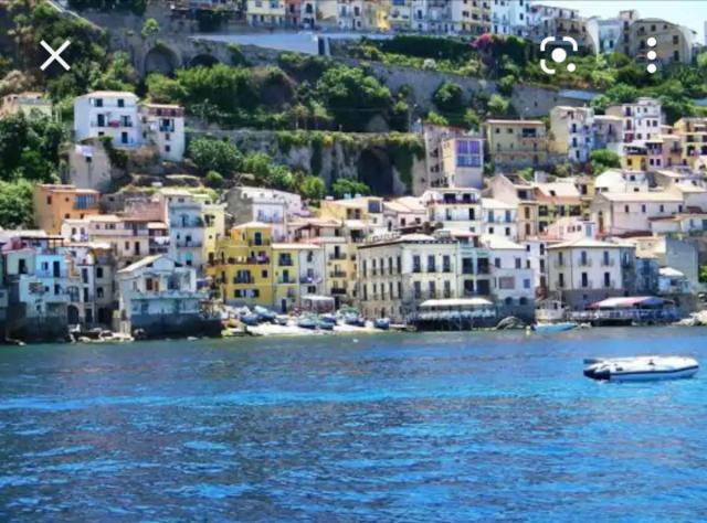 Photo of Others in Scilla