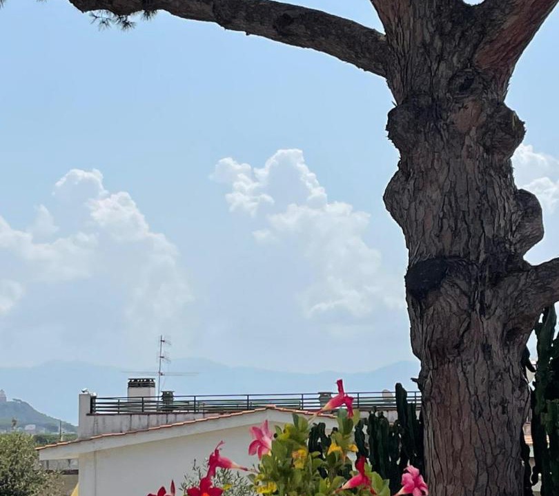 Photo of Others in Torre del Greco