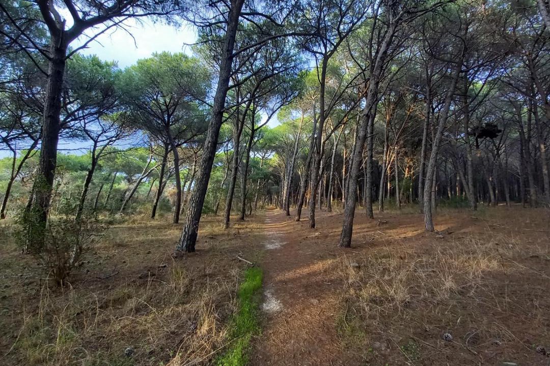Photo of Outdoor in Contrada Difesa II VV