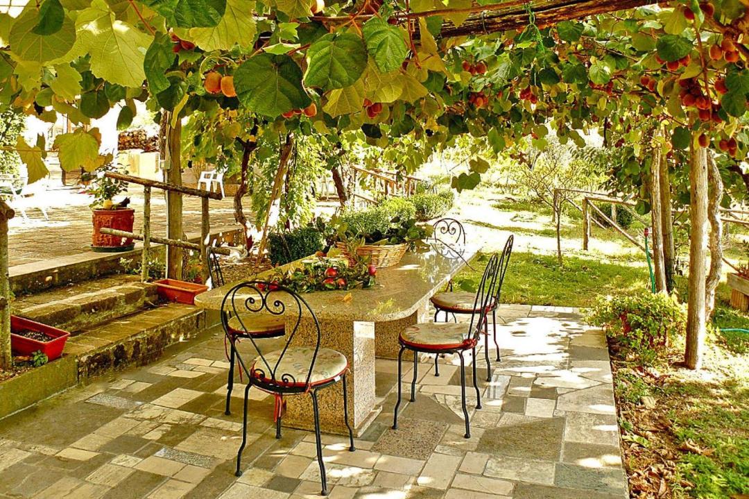 Photo of Patio Balcony in Bolsena