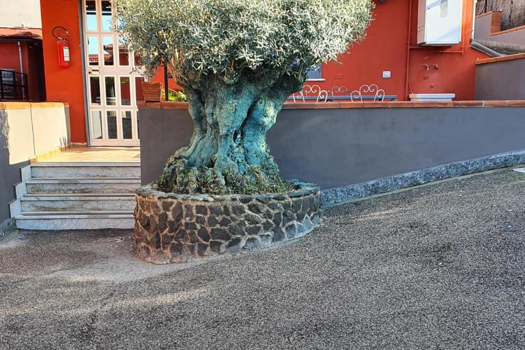 Photo of Others in Ercolano