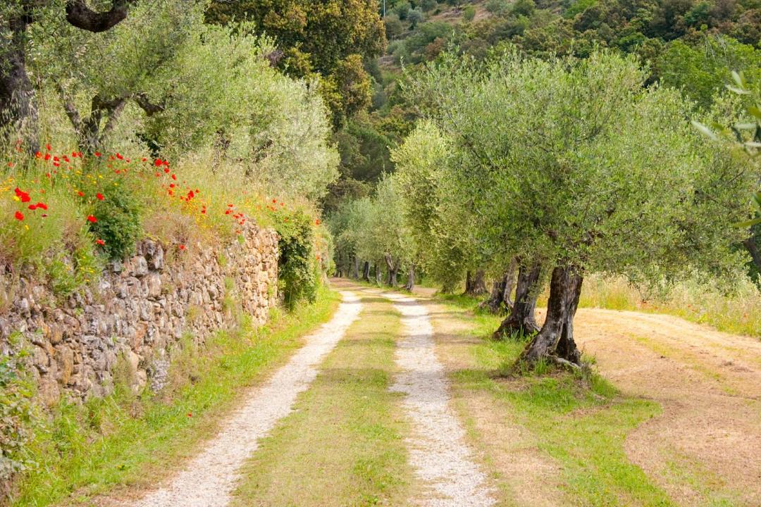 Photo of Outdoor in Cortona