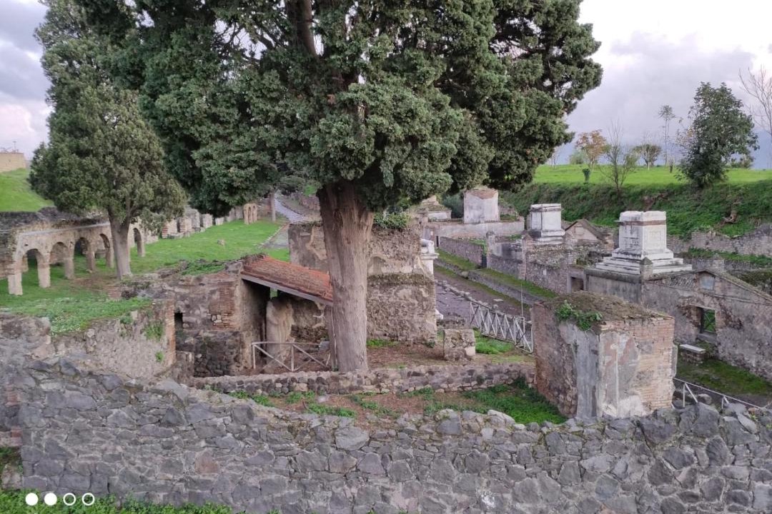 Photo of Others in Pompei