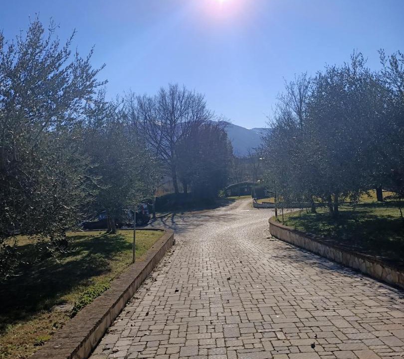 Photo of Others in Badia