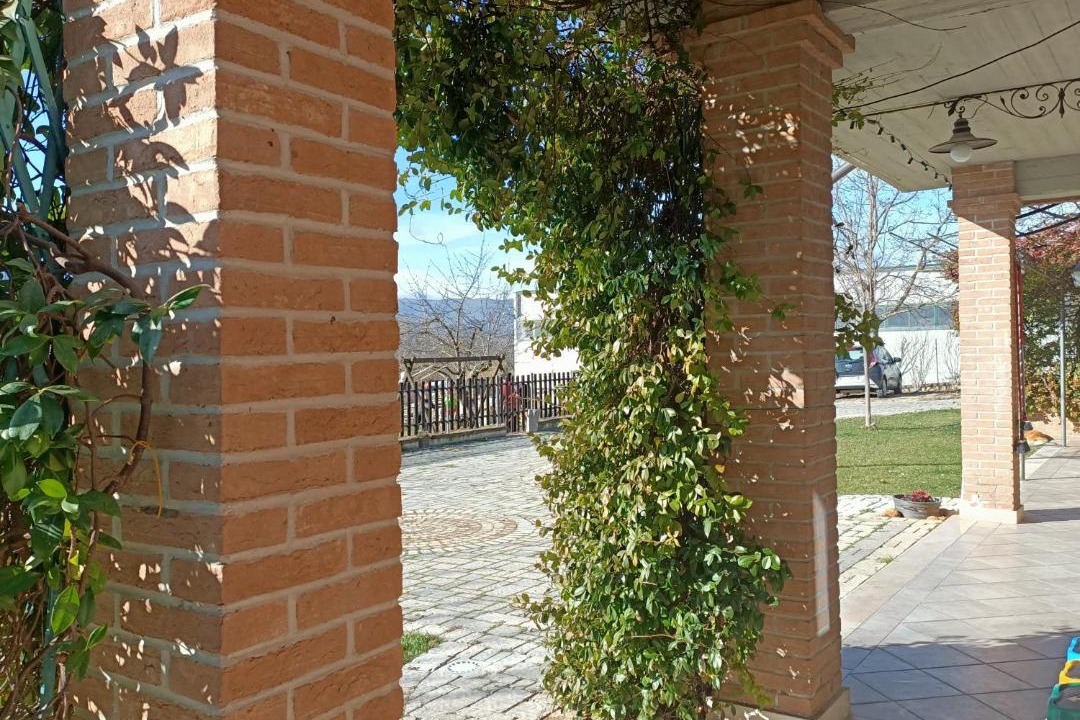 Photo of Others in Badia