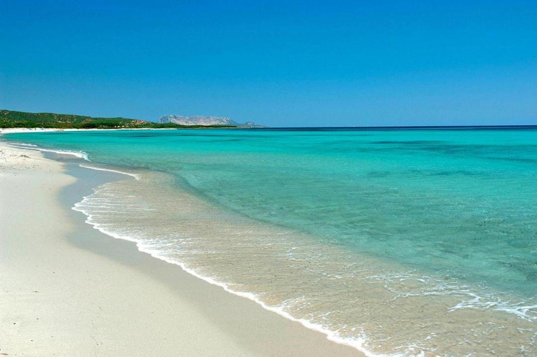 Photo of Others in Maiorca