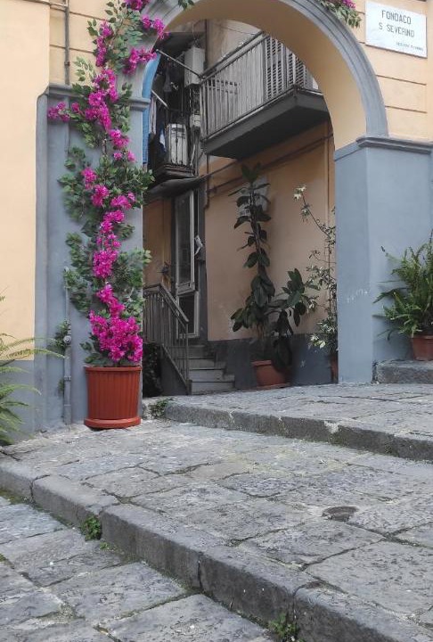 Photo of Buildings in Naples City Centre