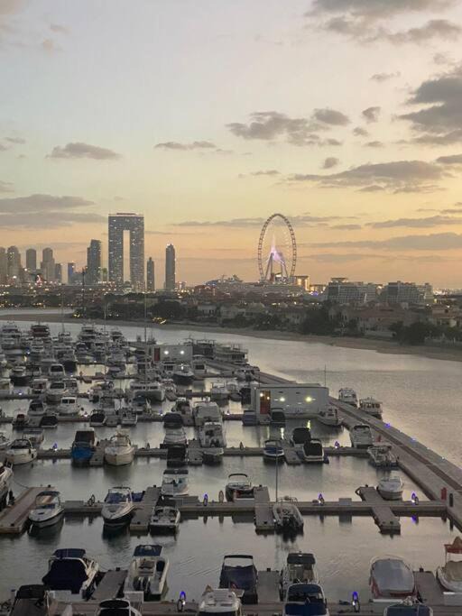 Photo of Others in Palm Jumeirah
