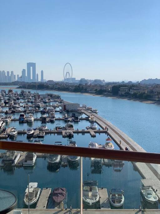 Photo of Others in Palm Jumeirah