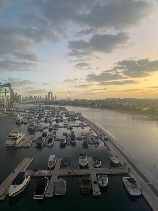 Photo of Others in Palm Jumeirah