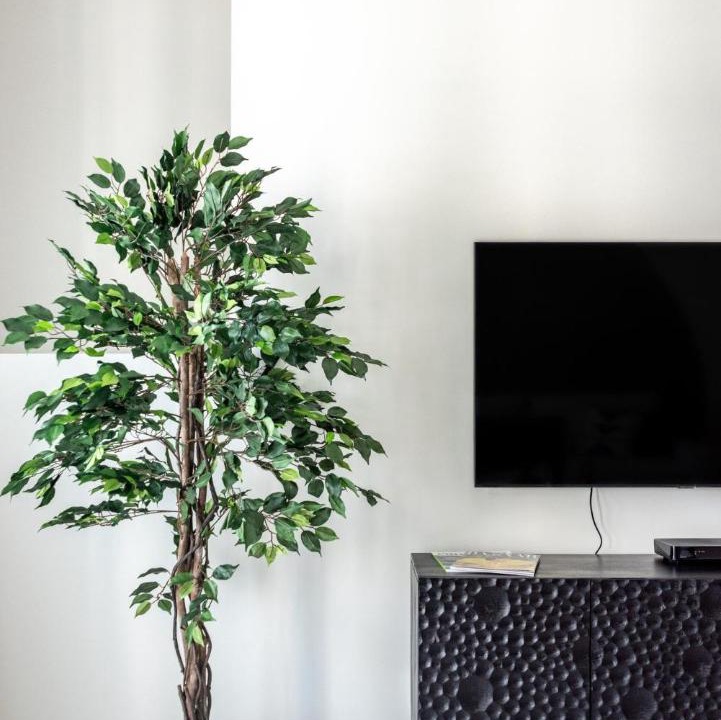 Photo of Livingroom in Dubai Marina