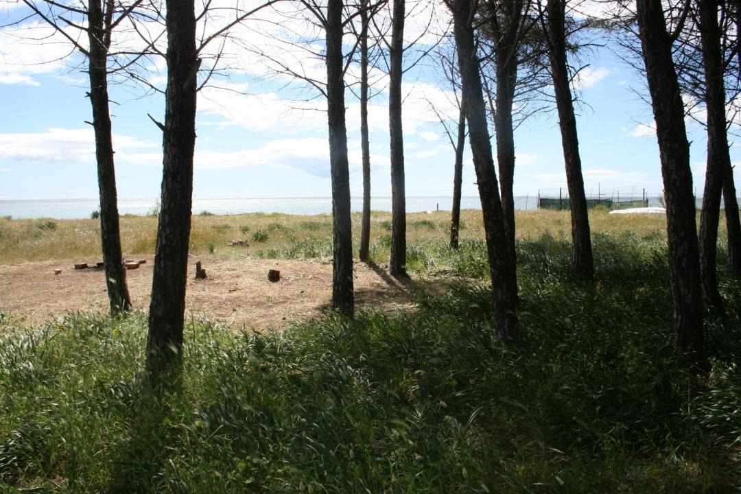 Photo of Others in Borgia