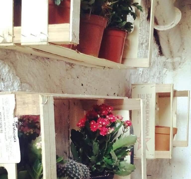 Photo of Livingroom in Viterbo