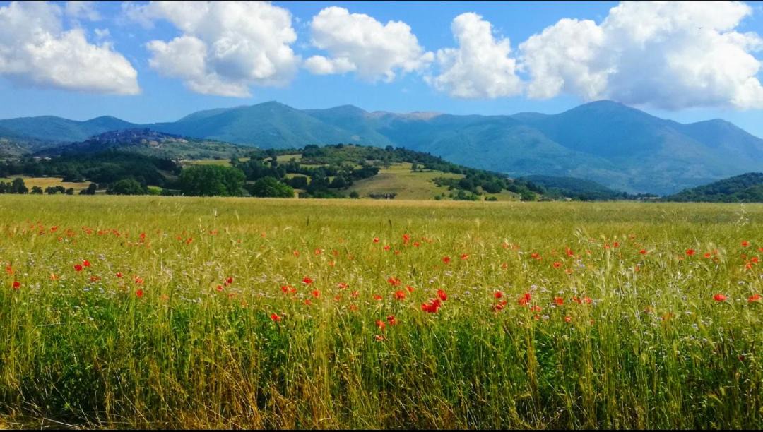 Photo of Others in Fiuggi