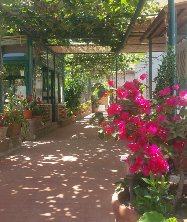 Photo of Others in Capri
