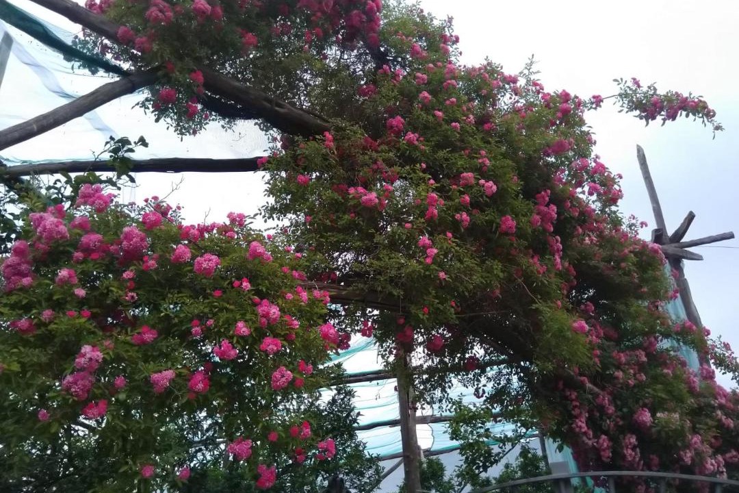 Photo of Outdoor in Priora