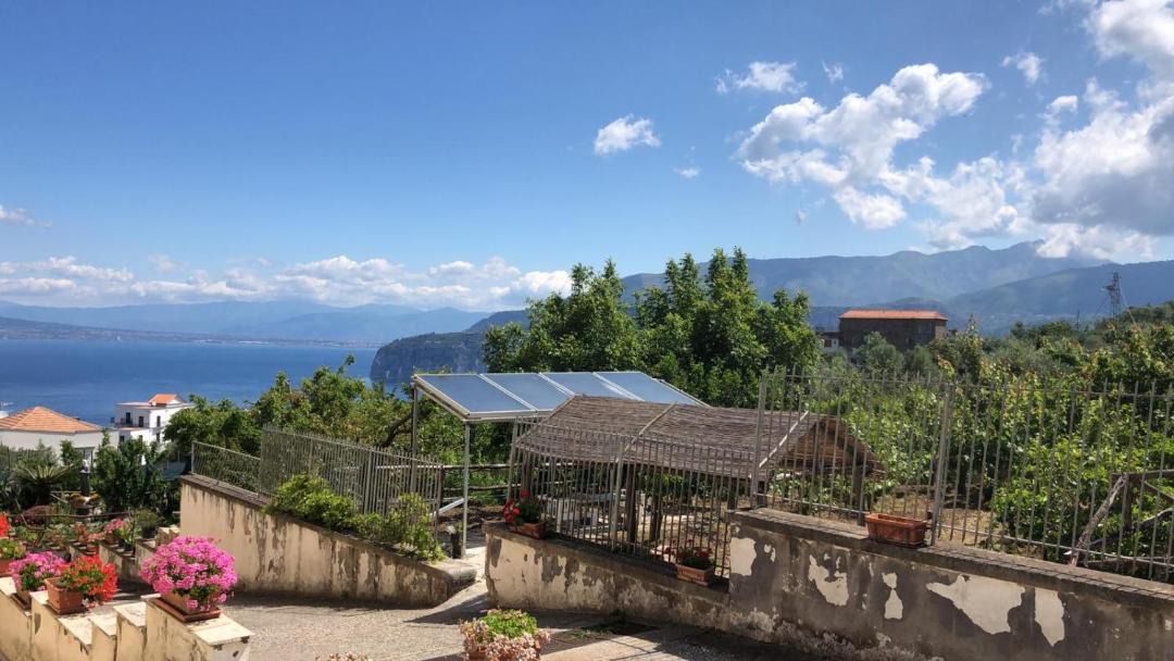 Photo of Patio Balcony in Priora
