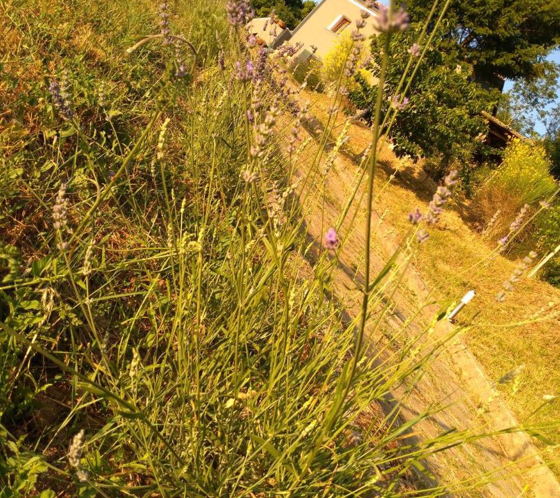 Photo of Outdoor in Mormanno