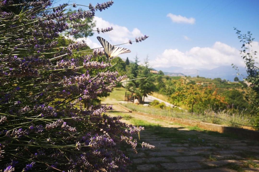 Photo of Outdoor in Mormanno