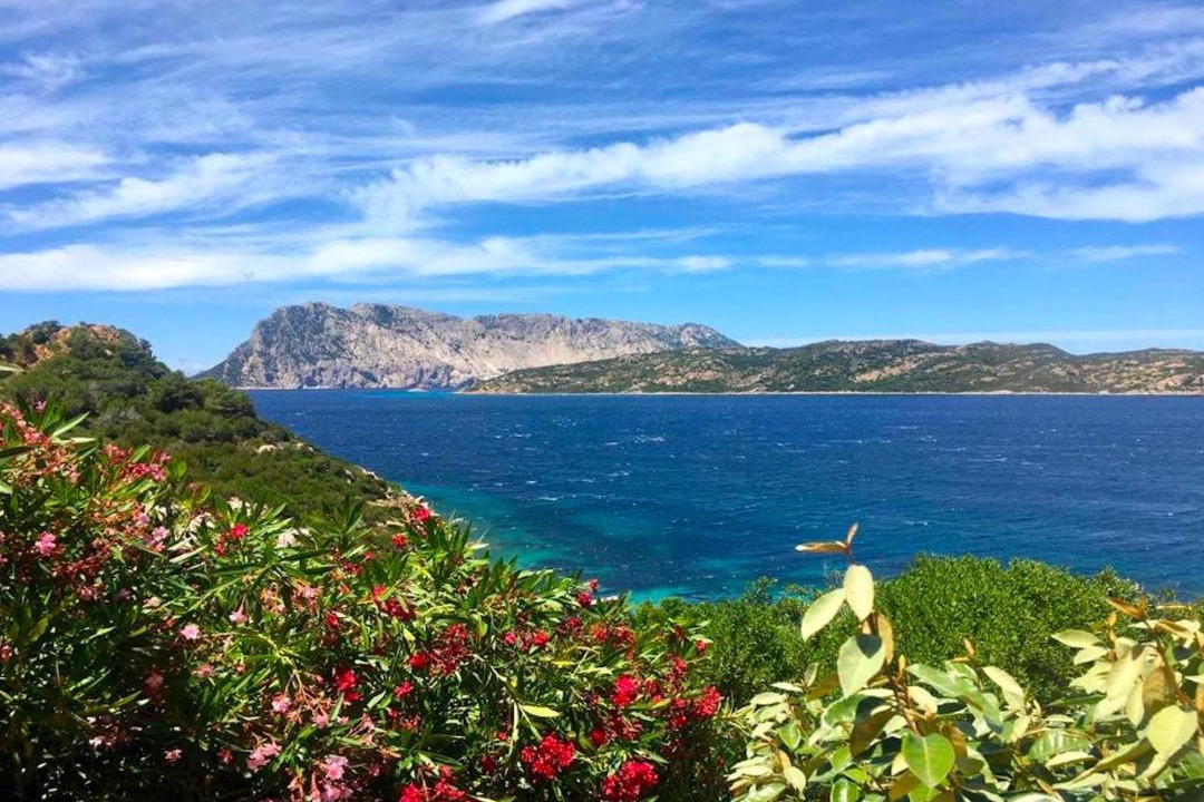 Photo of Outdoor in Capo Coda Cavallo