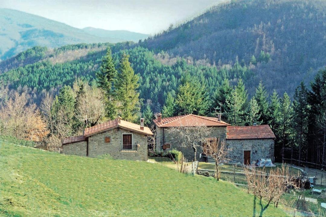 Photo of Others in Moggiana