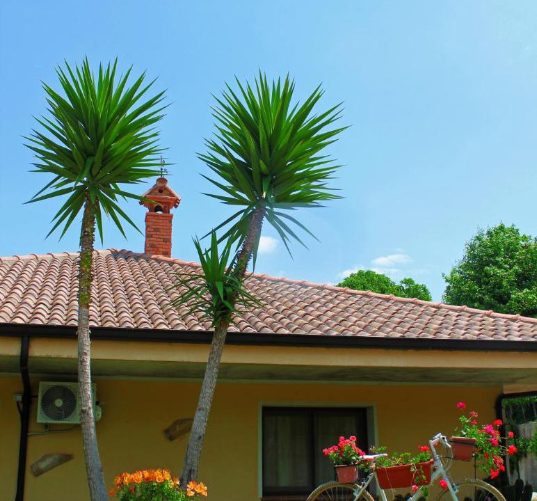 Photo of Buildings in Amaroni