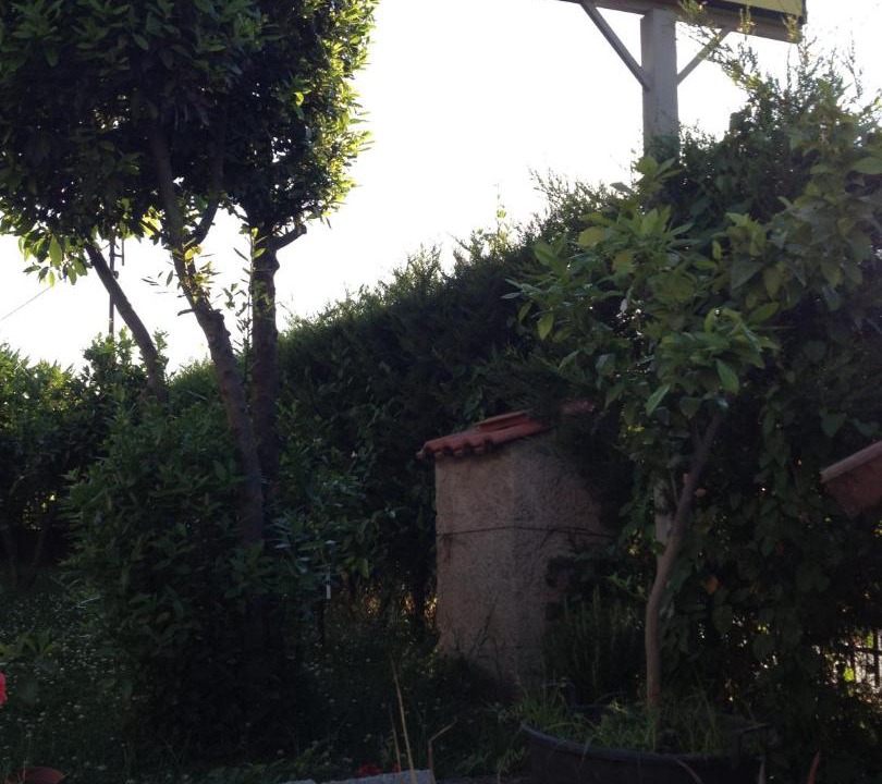 Photo of Buildings in Rende