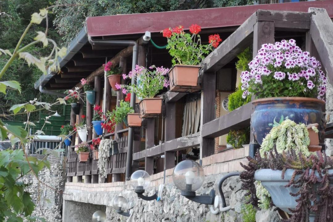 Photo of Others in Scilla