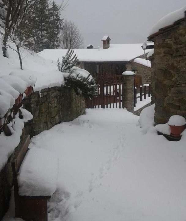 Photo of Bedroom in Valagnesi
