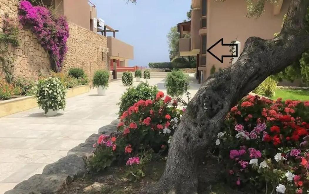 Photo of Others in Cugnana Verde