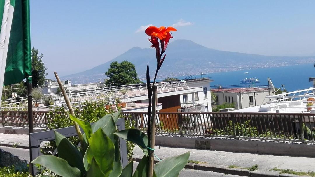 Photo of Others in Naples