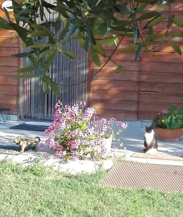 Photo of Outdoor in Pozzuoli